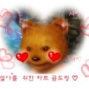 곰도링