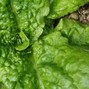 행복예감공인중개사사무소 이미지