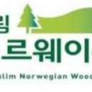 유림-22 이미지