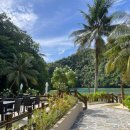 상봉Sea(바다)마트 | 팔라우 자유여행, 프라이빗 비치가 있는 팔라우 호텔 추천 Sea Passion Hotel