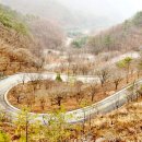 보발1리 마을회관 이미지