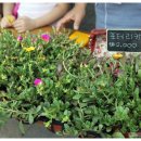 협동조합산수다락 네이버블로그