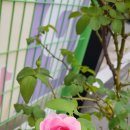 해피농장 이미지