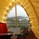 스테이빛토 키즈 이미지