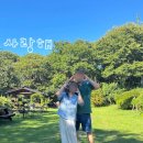 아원산방 | 하동 아원산방, 차실이 있는 한옥 독채 에어비앤비 숙소