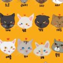 냥아치카페 이미지