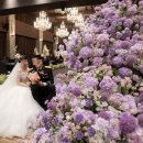 로얄 | 💍 [시집가기 프로젝트 37#] 로얄파크컨벤션 로얄홀 본식 후기