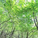 대원사버스 정류장 이미지