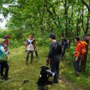 백두그린 이미지