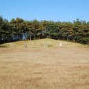 충희공 이인손 묘 이미지