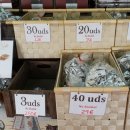 태양 어르신사랑방 이미지