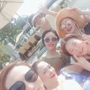 인셀덤 윤빛 대리점