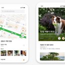 올바른 반려견 보호자 교육 이미지