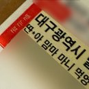 모가쭈꾸미