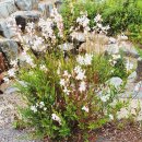 수남농장 이미지