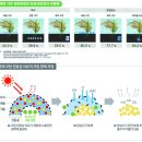 팜한농비료 이미지