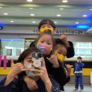 용인대 합기도 이미지