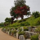 갯골 캠핑장 이미지