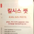 (주)칼시스 네이버블로그
