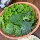 송정1호 이미지