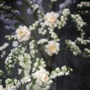 이데아 | W.57 이데아 포토그라피, 본식서브스냅 후기