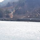 섬진강 트레킹코스 이미지