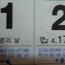 2026.06.01 서울 송파 부부와 충남 서해안 맛조개 잡기 갯벌체험 + 갯벌에서 맛조개 체험 잘하는 방법