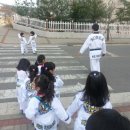 써밋태권스쿨 이미지