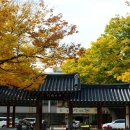 풀꽃향기유치원 이미지