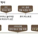 리틀루이 이미지