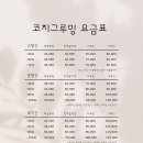 코지그루밍 이미지