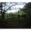 삼남목장 이미지