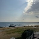 아난티 앳 부산 코브 | 5성급 오션뷰 호텔 아난티 앳 부산 코브 후기 1탄 바다 앞 크리스마스 트리와 오시리아 해안산책로