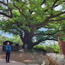 역사의 숨결-경기도 남양주 운길산 수종사(水鐘寺) 이미지