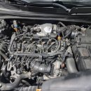 메딕카센타 이미지