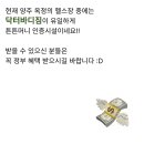 옥정튼튼약국 이미지