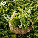 쑥향기 한의원 이미지