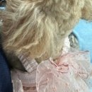 봉글봉글 이미지