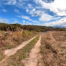 보광2리 이미지