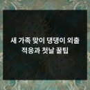 안산 강아지 펫퍼스트 24시 네이버블로그