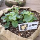 포레스트키즈어린이집 이미지