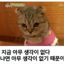 라브리지 이미지