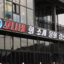 꼬니네회조개 이미지