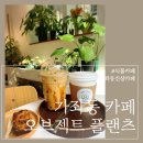 오브젝트플랜츠 이미지