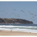 옥계해변관광지 이미지