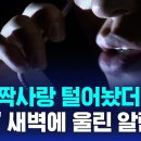 띠링' 새벽에 울린 알림…"AI와의 은밀한 대화가" 경악 / SBS / 뉴스딱 이미지