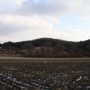 청송심씨 묘역 이미지