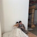 컨페티(confetti) | <스튜디오 #19> 토탈 스튜디오 부산 세미앙: 소품(컨페티) 활용씬