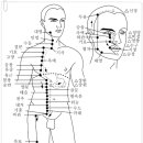 족양명위경 이미지