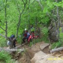 백두병원 이미지